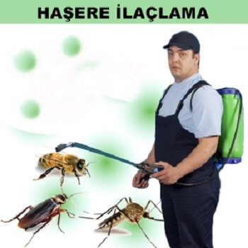 İhsangazi Böcek İlaçlama
